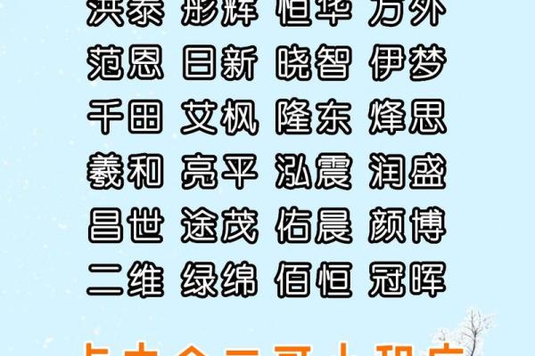 起名大全公司(起名公司大全免费起名)