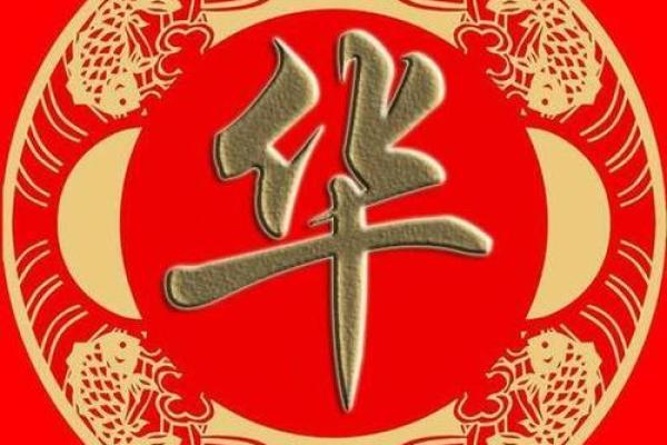 华字取名男孩名字大全(华的名字)