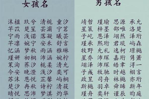 孩子取名字大全2023男孩(202年孩子名字)