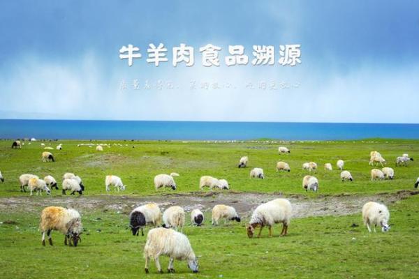牛羊肉食品公司起名(牛羊肉食品公司起名字)