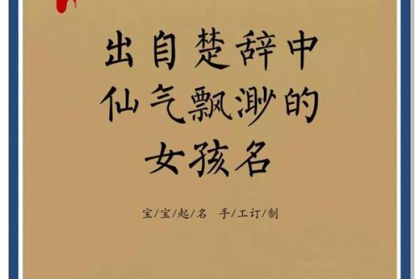 冷门独特稀少女孩名字三个字(3个字女孩名字)