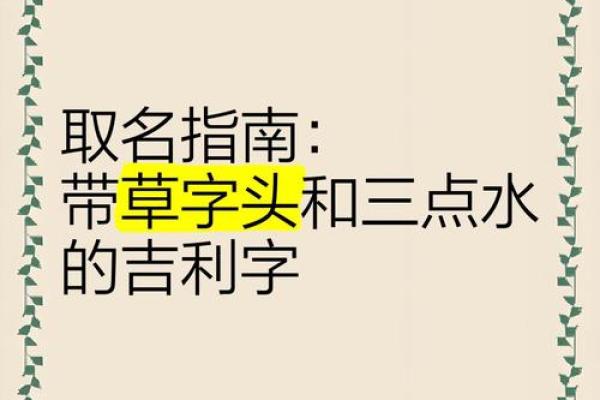 女孩草字头吉利的名字(女孩草字头吉利的名字属马) 女孩草字头吉利的名字(女孩草字头吉利的名字属马)