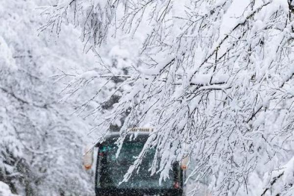 梦见下雪是什么征兆 男性(梦见下雪是什么征兆 男性1976年生)