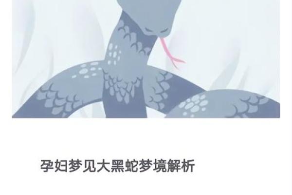 晚上梦见蛇是什么预兆(晚上梦见蛇是什么预兆) 晚上梦见蛇是什么预兆(晚上梦见蛇是什么预兆)