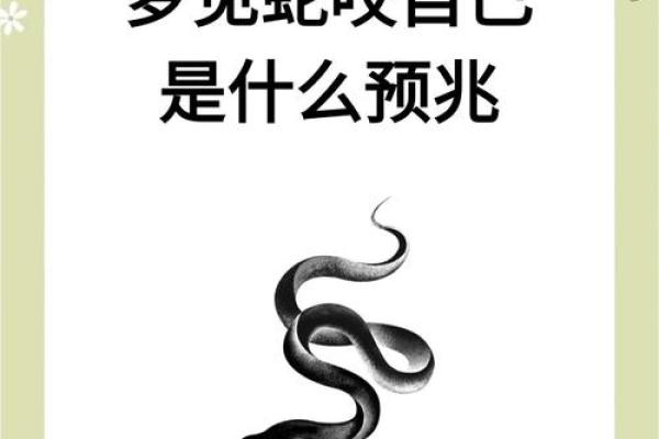 晚上梦见蛇是什么预兆(晚上梦见蛇是什么预兆) 晚上梦见蛇是什么预兆(晚上梦见蛇是什么预兆)