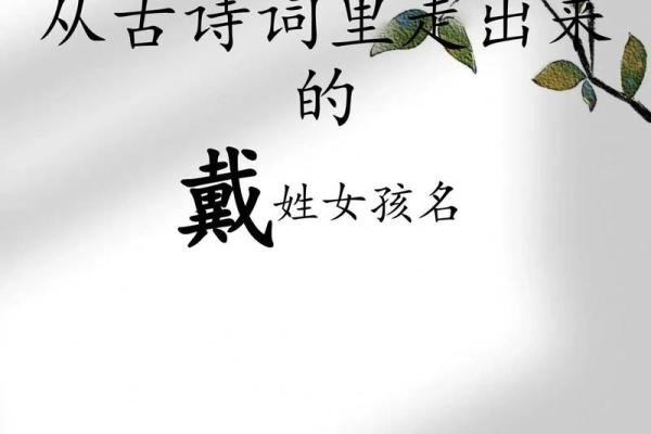 戴姓女孩取名字大全(姓代女孩取什么名字好)