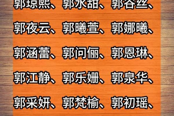 郭取名字大全男孩(郭字取名字大全2010)