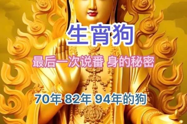 94年女狗结婚吉日