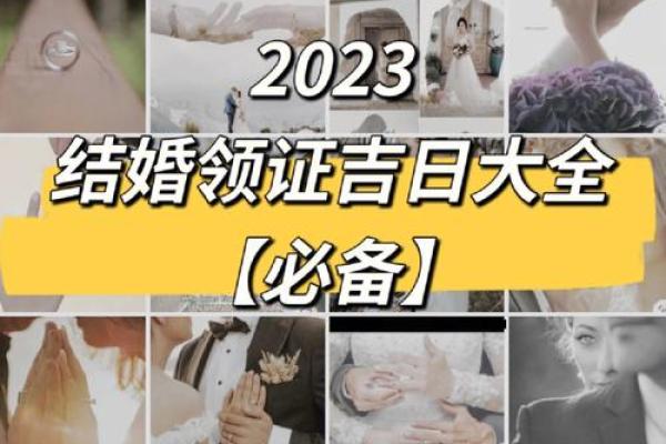12月哪天领证是吉日(12月那天领证)