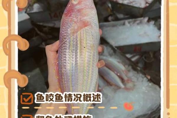 梦到鱼(梦到鱼咬手是什么意思)