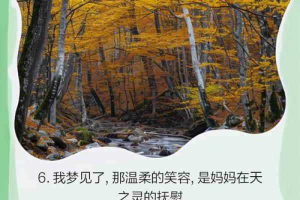 梦见自己妈妈死了是什么意思(梦见自己妈妈死了是什么意思是什么)