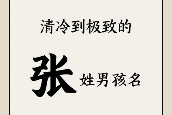 姓张的大气男孩名(姓张的男孩好听的名字)