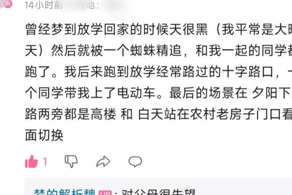 梦见被人追赶拼命逃跑是什么征兆(梦见被人追到处躲藏是什么征兆)