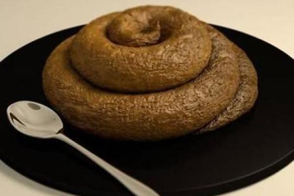 梦见屎是什么预兆(梦见自己在拉屎是什么预兆)