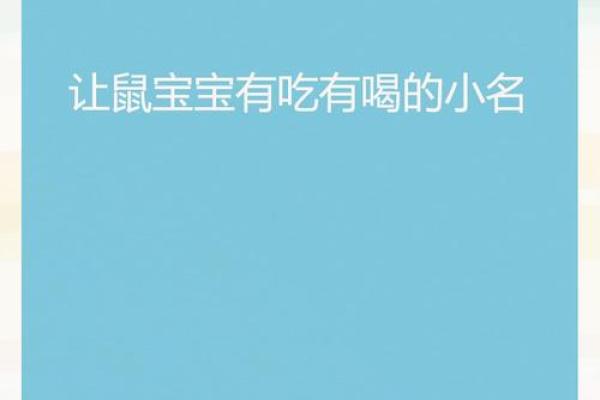 2020鼠年男孩起名字大全免费(2020鼠年男宝宝名字大全免费)