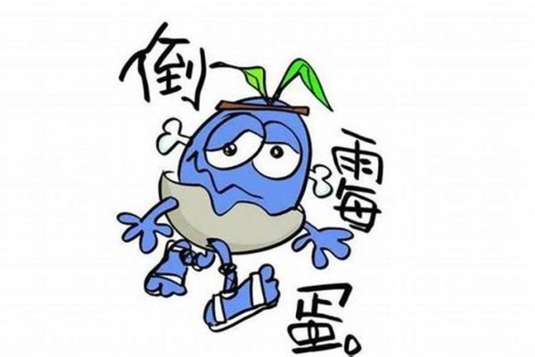 梦见跟别人打架是什么意思(女人梦见和别人动手打架)