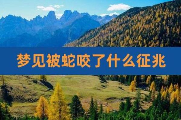 男人梦到被蛇咬是什么预兆(男人梦见被蛇咬是怎么回事)