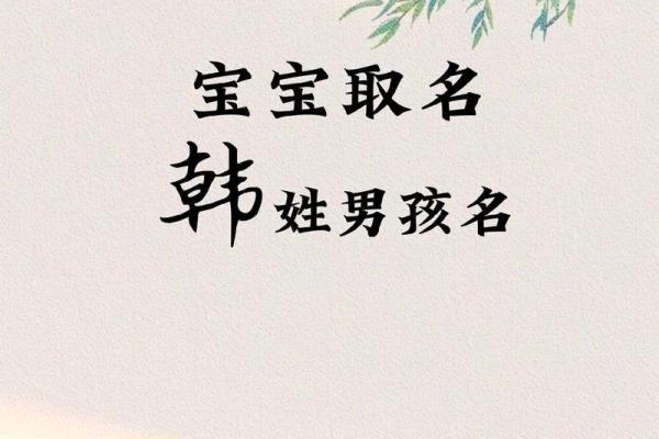 韩姓取名字大全男孩(韩姓取名字大全男孩名字)