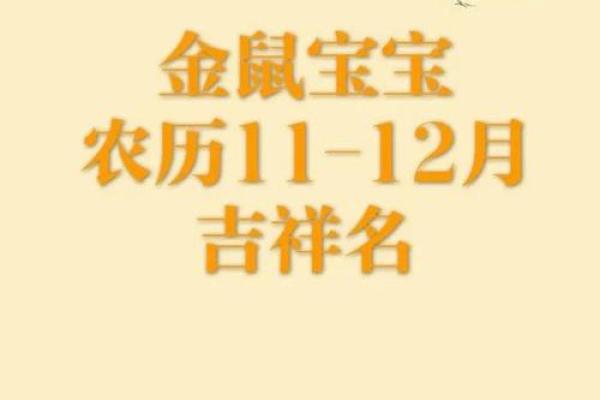 2020年属鼠男孩最吉利的名字(2020年属鼠男孩最吉利的名字是什么)