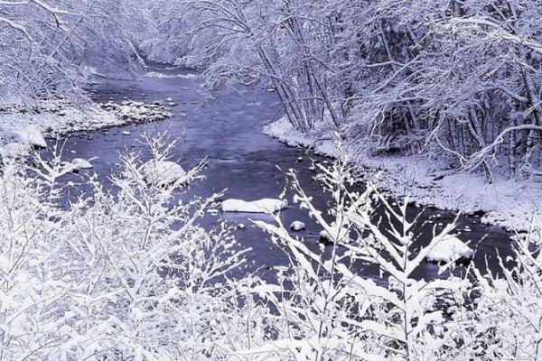 梦见下大雪是什么征兆 女性(梦见下大雪是什么征兆 女性梦见自己在工地上)