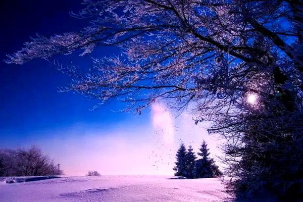 梦见下大雪是什么征兆 女性(梦见下大雪是什么征兆 女性梦见自己在工地上)