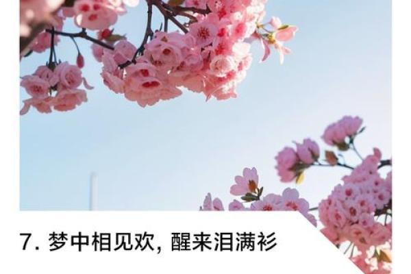 梦到爸爸死了是什么征兆(梦到爸爸死了是什么征兆)