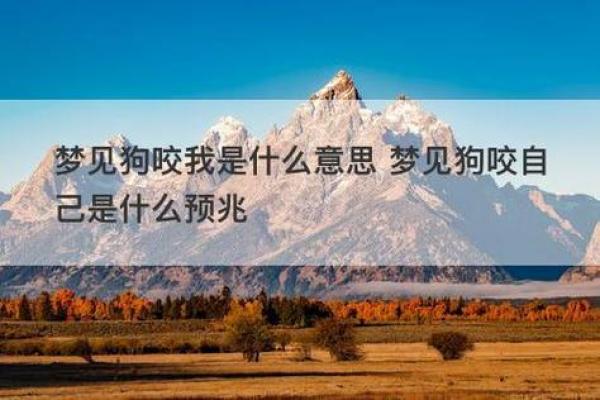 梦见肉是什么预兆(梦见肉是什么预兆抖音)