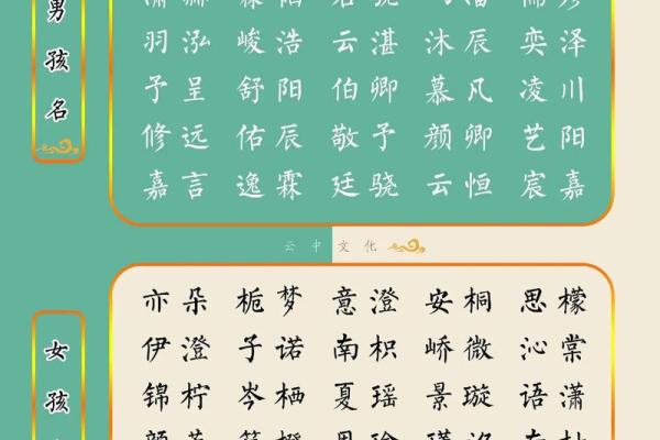 2023年新生儿女孩取名字大全(2023年起名字)