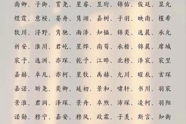 名字大全男孩霸气(名字大全男孩霸气冷酷)