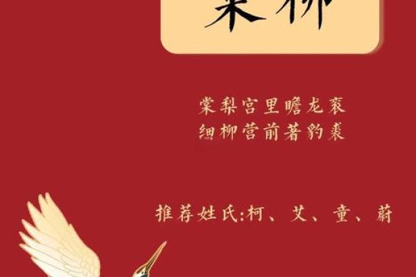 姓柳的女孩名字古风三个字(姓柳的女孩霸气)
