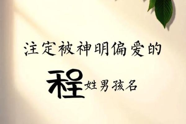 程姓男孩大气有涵养的名字(独特好听程姓男孩名字2021) 程姓男孩大气有涵养的名字(独特好听程姓男孩名字2021)