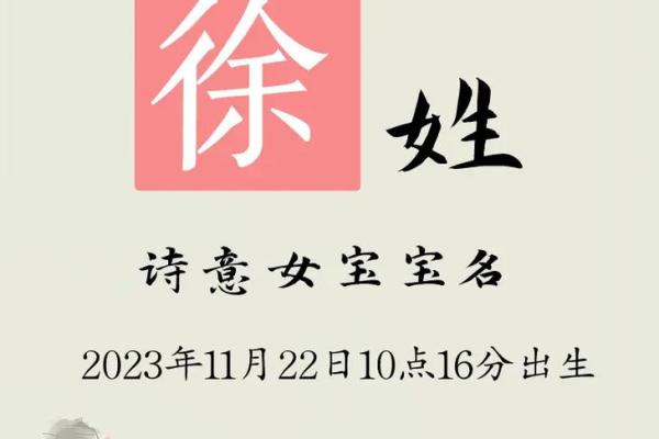 徐取名字大全女孩(徐取名字大全女孩名字)