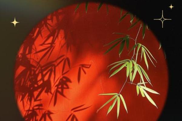 11月哪天适合结婚吉日(11月哪天结婚好日子)
