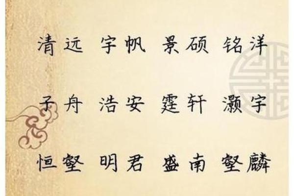 属鼠取名字大全男孩(属鼠名字大全男宝宝哪些字)
