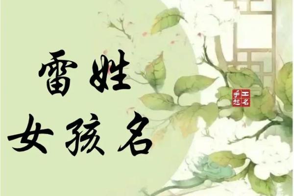 好听的雷姓男孩名字大全(雷姓男孩名字大全参考)