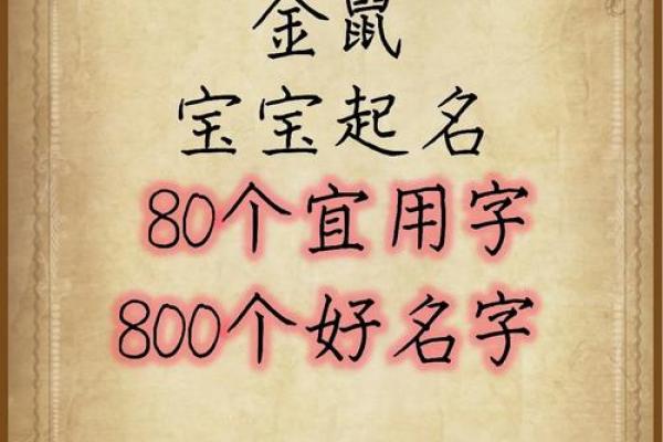 2020鼠宝宝女孩取名字大全免费(2020年鼠宝宝女孩起名大全) 2020鼠宝宝女孩取名字大全免费(2020年鼠宝宝女孩起名大全)