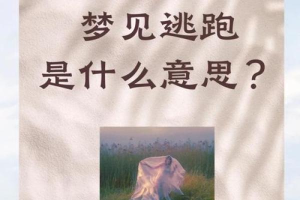 梦见被人追赶拼命逃跑东躲西藏(梦见被人追赶拼命逃跑东躲西藏被追到)