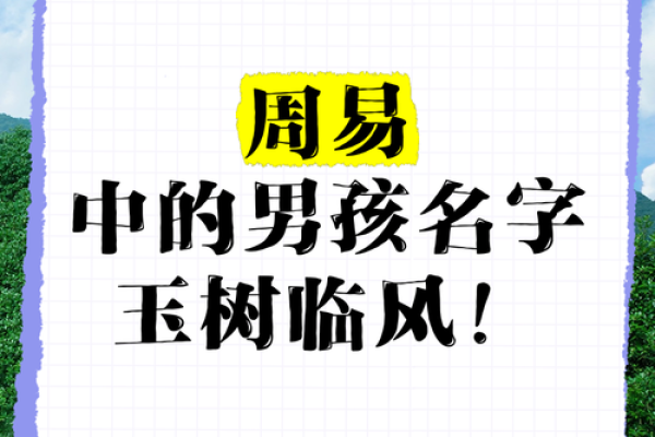 易经男孩名字大全(易经男孩名字带解释) 易经男孩名字大全(易经男孩名字带解释)