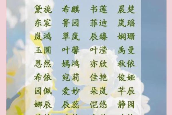 格局大气的女孩名字(格局大气的女孩名字两个字)