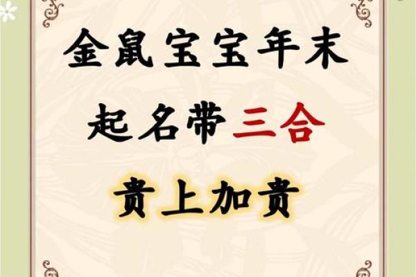 男孩属鼠大富大贵吉利的名字(男孩的取名宝典属鼠)