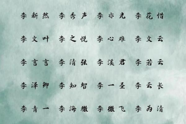简单大气男孩名字(李姓简单大气男孩名字)