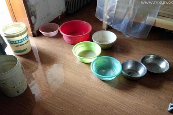 梦见房子漏水(梦见房子漏水漏到床上)