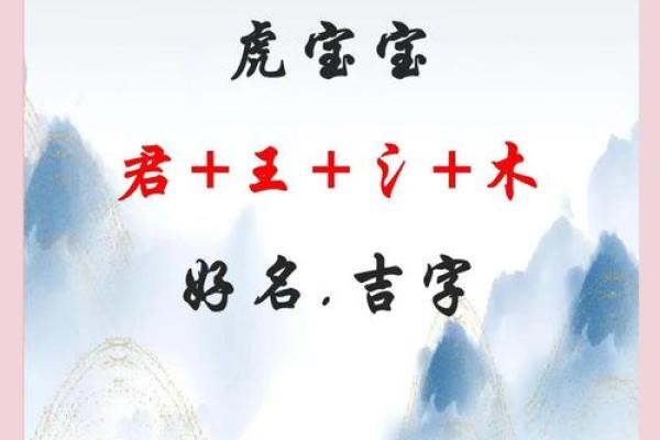 金字旁最吉利的名字男孩属虎(金字旁最吉利的名字)