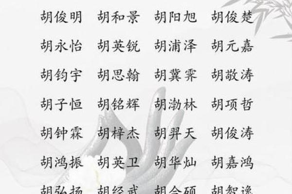 好听的胡姓女孩子名字(胡姓女生好听的名字)