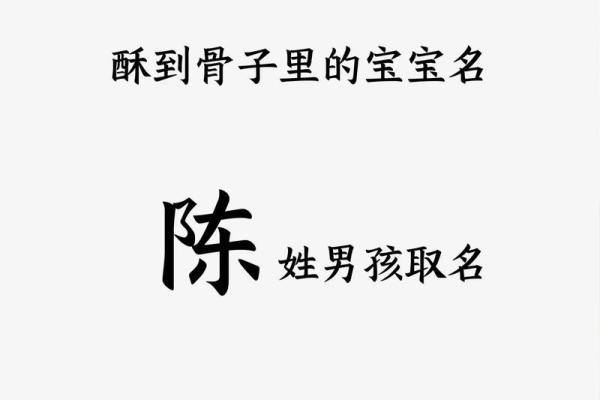 陈氏取名字男孩大全(陈氏取名字男孩大全3个字)