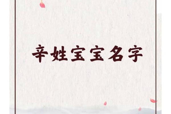 辛姓女孩起名高端大气(辛氏名字大全女孩名字)