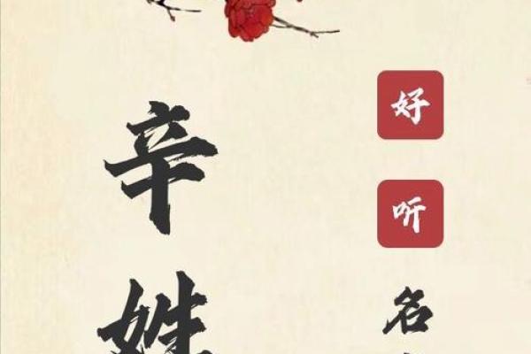 辛姓女孩起名高端大气(辛氏名字大全女孩名字)