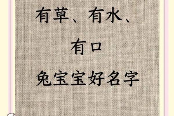 彭姓兔宝宝取名字大全男孩(彭姓兔宝宝取名字大全男孩子)