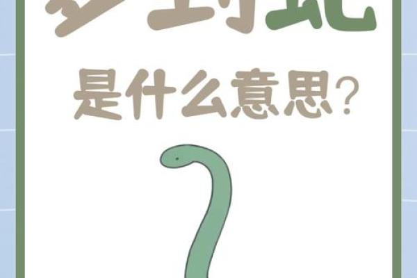 女人梦见蟒蛇的七大预兆(女人梦见蟒蛇的七大预兆解梦)