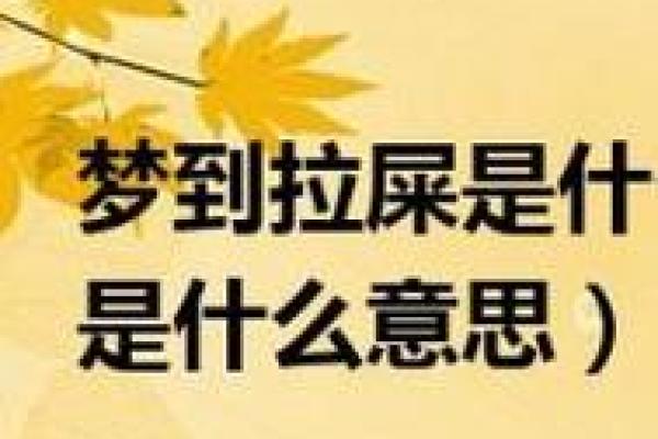 梦见踩到屎是什么预兆(梦见踩到屎是什么预兆)